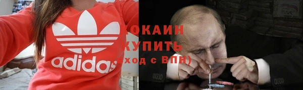 твердый Алексеевка