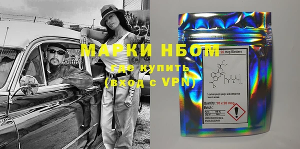 хмурый Алексин