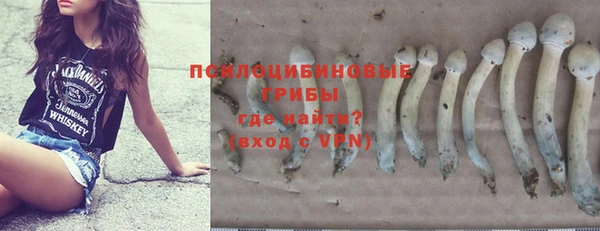 твердый Абаза