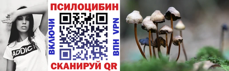 Псилоцибиновые грибы прущие грибы  Владимир 
